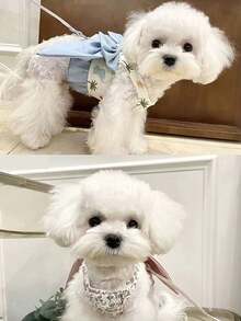 Fashionable Bowknot Half-Vest Pet Harness Leash - 3-In-1 Outdoor Use For Dogs & Cats, Breathable Mesh Pet Clothing, Pink/Blue, Multi-Functional For Small & Medium Dogs (Bichon, Shih Tzu, Teddy, Poodle) & Cats - Multicolor - View 7