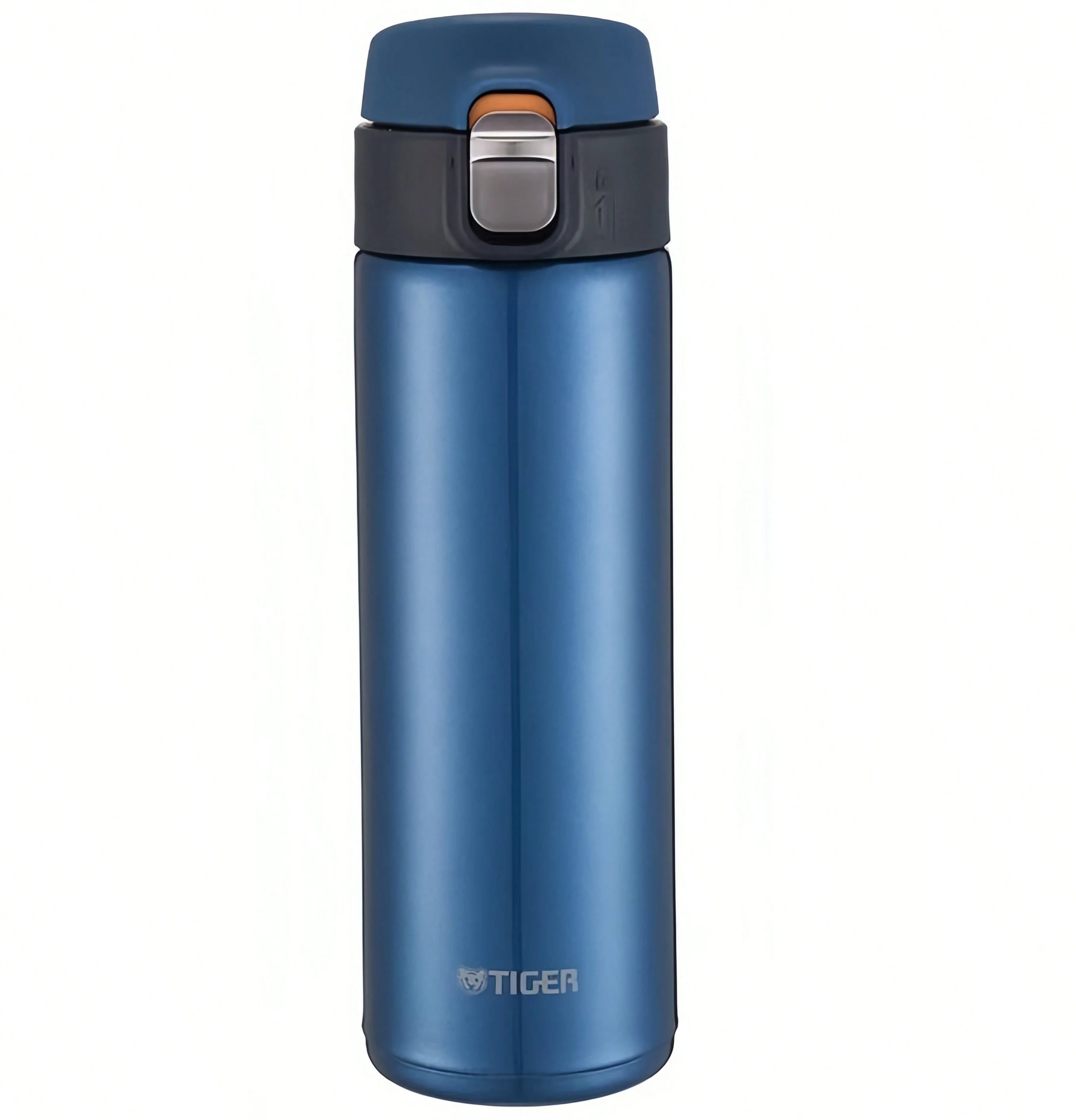 Blueberry Smoothie AM