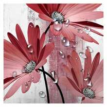 Rustic Farmhouse Shower Curtain, Farm Red Daisy Floral Flowers And Butterfly, Light Burgundy Gray Shower Curtain With 12PCS Hooks, 48X70IN - 多色561 - 查看 2