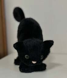 Halloween Party Supplies