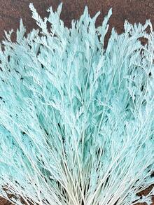 25/50/100/300 件象牙白迷你满天星及其他干花 - 用于树脂模具艺术和工艺品，适用于发饰、婚礼花环、桌面装饰、家居装饰 - 天藍色(情人草) - 查看 3