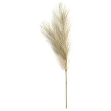 Pampas Grass Stem Kit With Artificial Feathers And Branches, 55cm - 米色 - 查看 2