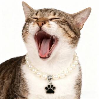 Adjustable Pet Pearl Collar For Cats And Dogs - Beaded Dog Collar Necklace For Girl Pets - Footprint Accessories Pearl Collar For Cats Cat Collars For Girl Cats Girl Dog Collars