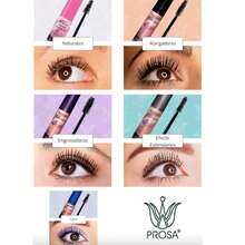 KIT PROSA 5 RIMELS - Multicolor - Ver 3