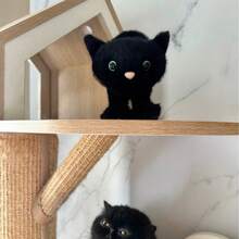 Halloween Party Supplies