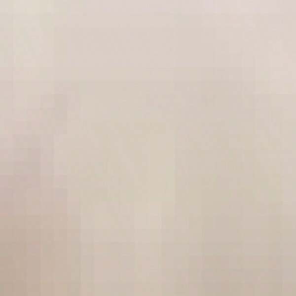 Lumbar Pillows & Seat Cushions