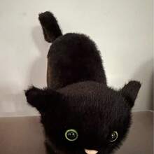 Halloween Party Supplies