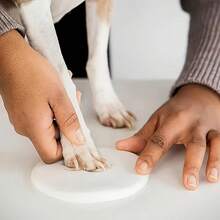 宠物爪印泥，20克柔软蓬松粘土材料，DIY手印脚印、指纹脚印 - 彩色 - 查看 4