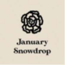 1pc Birthstone Flower DIY Engraved Necklace Pendant, Romantic Flower Bracelet, Customizable Name, Minimalist Daily Style, Keychain, Includes Gift Box, Suitable For Valentine's Day, Birthday, Mother's Day, Everyday Gift - Style 1 - View 27