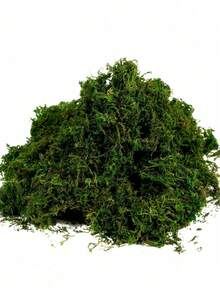 1 pacote de musgo artificial falso, simulação faça você mesmo de musgo, grama, micro layout paisagístico, planta verde, gramado, vaso de plantas, decoração de janela, paisagismo - Verde - Ver 33