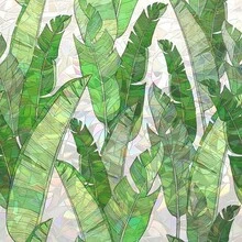Window Privacy Film Tropical Static Cling Window, Tropical Parrots And Leaves 16.92 InchX39.37 Inch - Banana Leaves + 16.92"X39.37"/43X100CM - View 2