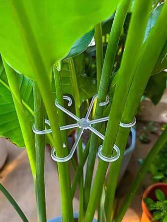 植物支撑夹、植物防倾倒支撑杆、绿色植物支架、耐用葡萄藤支撑结构、植物支撑紧固件、坚固的攀援植物茎夹 - 塑料材质，或室内攀援植物、植物支撑