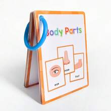 Fashionable Minimalist Design English Body Part Flash Cards, Educational English Word Cards, Early Learning English Study Cards
