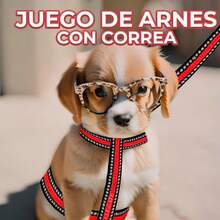 Arnes Correa Suave Ajustable Reflectante Mascotas Pequeñas - Rojo - Ver 6