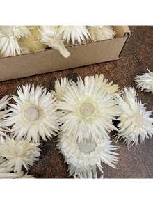 10/20/60pcs Dried Natural Chrysanthemum Flowers - Rattan Material - DIY Crafts, Wedding & Halloween & Christmas Decor, Tabletop Arrangement, Sunflower & Daisy Accents - White - View 2