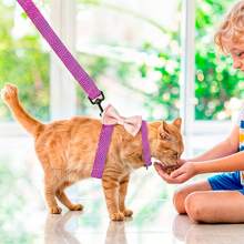 Kit Arnes Correa Diseño Moño Ajustable Cómodo Mascota Perros - Lila Púrpura - Ver 6