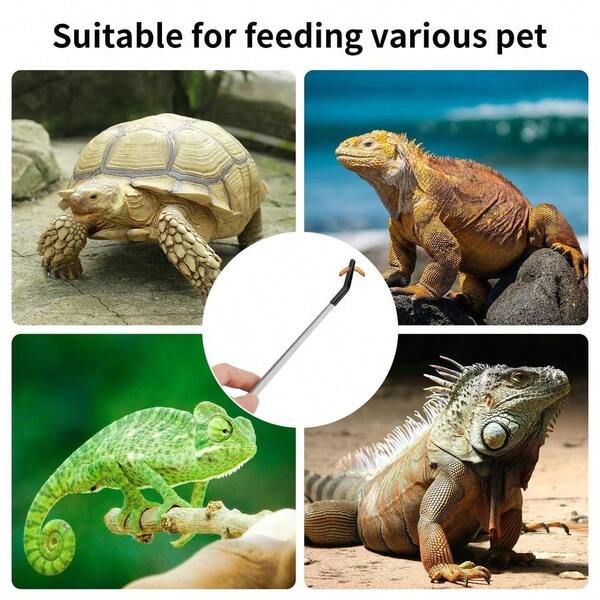 Pcs Extra Long Stainless Steel Reptile Feeding Tongs With Rubber Tip Straight And Curved Long Tweezer Terrarium Feeder T...