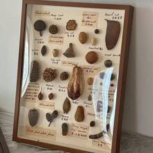 DIY装饰镂空3D相框，适用于贝壳、干花、蝴蝶标本、动漫手办、收藏展示盒