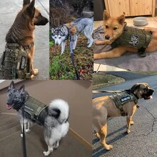 2 件套狗背带和牵引绳套装，带手柄的 Molle 背心，适用于工作犬，带钩环面板，适合小型、中型、大型犬散步、远足训练 - 彩色 - 查看 8