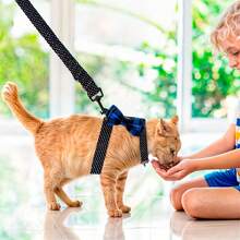 Kit Arnes Correa Diseño Moño Ajustable Cómodo Mascota Perros - Negro - Ver 7