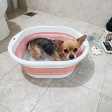Foldable & Easy Storage Pet Bathtub, Multi-Color Options, Suitable For Various Pet Bathing Scenarios - Multicolor - View 11