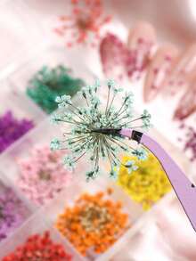 1 boîte de décorations d'art floral pour ongles colorées - fournitures de fleurs pressées créatives pour le DIY, convient pour le printemps/l'été, couleurs vibrantes pour les ongles des femmes - Multicolore - Voir 5
