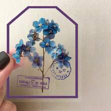 50张透明贴纸套装 - 花卉、复古、美学、植物图案，防水乙烯基贴纸，适用于笔记本电脑、笔记本、滑板、水瓶 - D - 查看 5