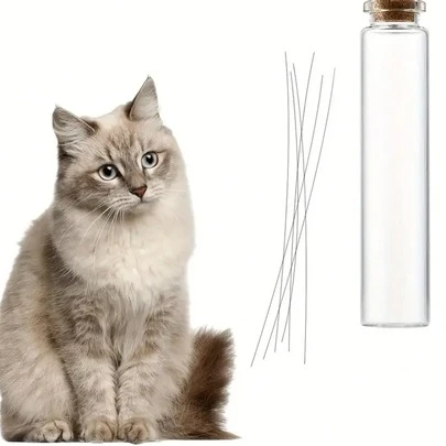 Mini Glass Vase, Cat Whisker Collector, Thoughtful Gift For Cat Lovers, Suitable For All Seasons