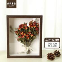 DIY装饰镂空3D相框，适用于贝壳、干花、蝴蝶标本、动漫手办、收藏展示盒