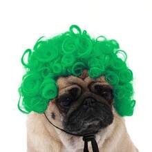 Funny Pets Wigs For Dog Rainbow Curly Dog Wig Adjustable Pet Wigs For Halloween Pet Decoration Accessories - Multicolor - View 15