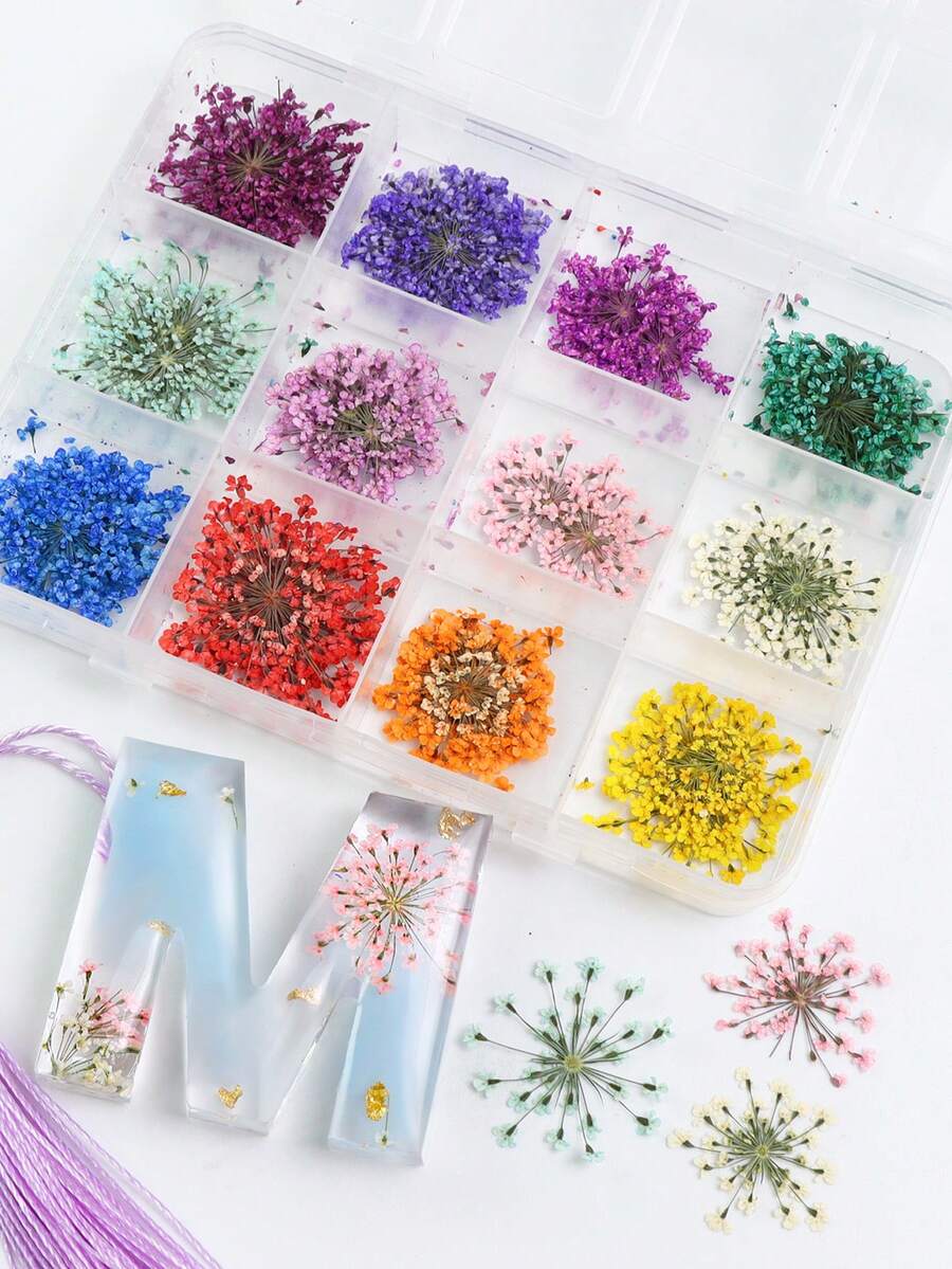 48支/盒 彩色天然干花，环氧树脂模具填充材料，珠宝铸造用品，DIY工艺品，情人节礼物装饰，节日装饰，DIY项目