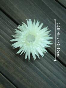 10/20/60pcs Dried Natural Chrysanthemum Flowers - Rattan Material - DIY Crafts, Wedding & Halloween & Christmas Decor, Tabletop Arrangement, Sunflower & Daisy Accents - White - View 5