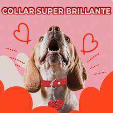 Collar Bling Forma Corazón Brillante Mascotas 40cm Tamaño M - Rojo - Ver 6