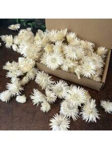10/20/60pcs Dried Natural Chrysanthemum Flowers - Rattan Material - DIY Crafts, Wedding & Halloween & Christmas Decor, Tabletop Arrangement, Sunflower & Daisy Accents - White - View 1