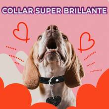 Collar Bling Forma Corazón Brillante Mascotas 40cm Tamaño M, collar para perro gato brillante, accesorios modernos para mascotas, diseño de corazón, collar tamaño mediano resistente - Negro - Ver 6