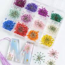48支/盒 彩色天然干花，环氧树脂模具填充材料，珠宝铸造用品，DIY工艺品，情人节礼物装饰，节日装饰，DIY项目 - 彩色 - 查看 8