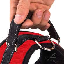 Pet Slip & Martingale Collars - Red - View 6