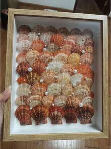 DIY装饰镂空3D相框，适用于贝壳、干花、蝴蝶标本、动漫手办、收藏展示盒