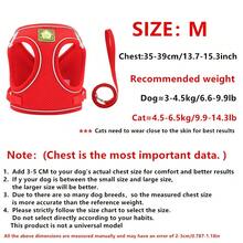 1set Autumn & Winter Vest Style Soft Comfortable Reflective Adjustable Pet Chest Strap & Leash For Cat And Dog, No Pull Harness, Cat Leash