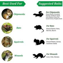 Trampa para ratas de doble puerta - acero duradero, 15x13x39.5cm, Efectiva para ratas astutas, No necesita electricidad, Control de plagas | Trampa de doble puerta | Construcción de metal, Trampa para ratas - Verde - Ver 5