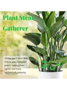 4pcs Plant Stem Clamps, Plastic Gardening Tools, Plastic Plant Supports For Indoor Climbing Plants - Multicolor - View 2