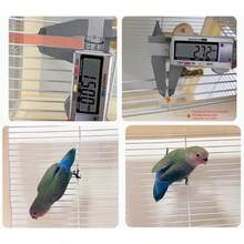 Jaula para pájaros Parrot Bird Cage Acrylic Transparent Ecological Bird Cage Luxury Villa Cage Special Large Cage Jaula para pájaros para Mascotas Green - Verde - Ver 3