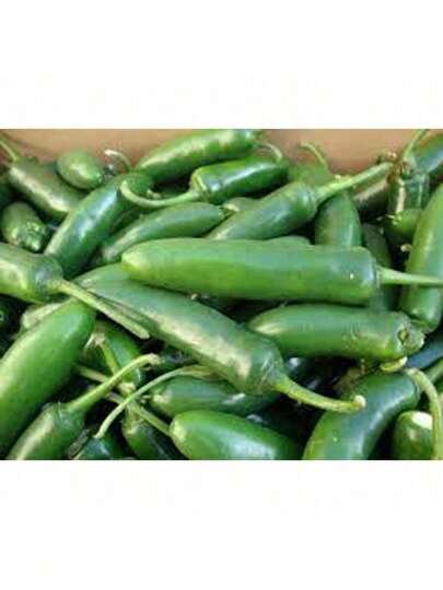 Serrano Pepper, Long RED, Heirloom, Grown 25+ Seeds