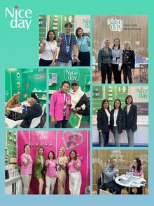 Niceday 8 peças/285mm Absorventes Higiênicos Noturnos à Base de Ervas, Forros de Artemísia, Absorventes Menstruais Ultrafinos, Absorventes Menstruais Super Macios, Contendo Artemísia, Junça, Angélica, Três Ingredientes Herbais, Adequado para Dor Menstrual, Camada Superficial Orgânica, Não Irritante, Respirável e Seco, Alta Absorção, Sem Vazamento