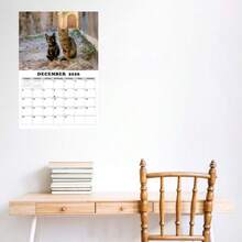 2026年可爱猫咪主题日历，猫咪照片英文月历假日计划表 - 貓咪 - 查看 5