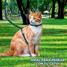 Set arnes correa halter diseño huellas mascotas perros gatos arnés correa mascotas ajustable huellas diseño paseo perros gatos accesorios - Azul - Ver 6