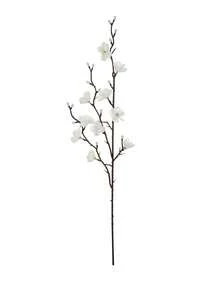 1/80PCS Artificial Silk Plum Blossom Flower Branches No Stem Real Touch For Home Table Wedding Bouquet Beach Theme Party Decoration Without Vase, Fake Plants, Home, Dining Room, Living Room, Outdoor Garden Decoration,Mother's Day Gifts, Birthday Gifts, Graduation Season Gifts,Wedding Season - White - View 6