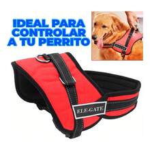 Pet Slip & Martingale Collars - Red - View 5