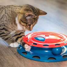 Catstages Catnip Chaser Track U2013 Interactive Cat Toy With Catnip For Batting, Swatting, And Mental Stimulation, Green - Màu B - Xem 1