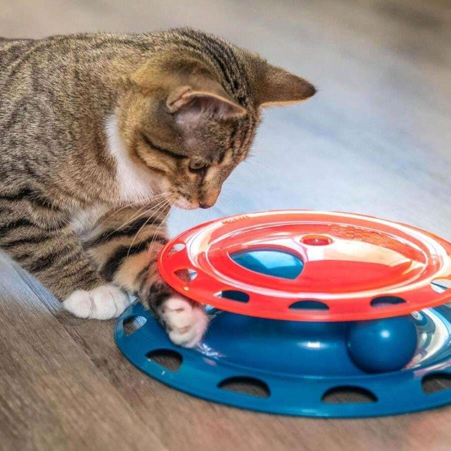 Catstages Catnip Chaser Track U2013 Interactive Cat Toy With Catnip For Batting, Swatting, And Mental Stimulation, Green - Màu B - Xem 1